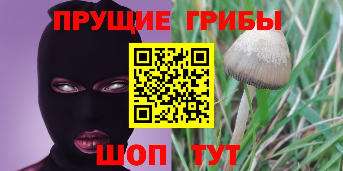 Галлюциногенные грибы Magic Shrooms  Вход с VPN  Рязань 
